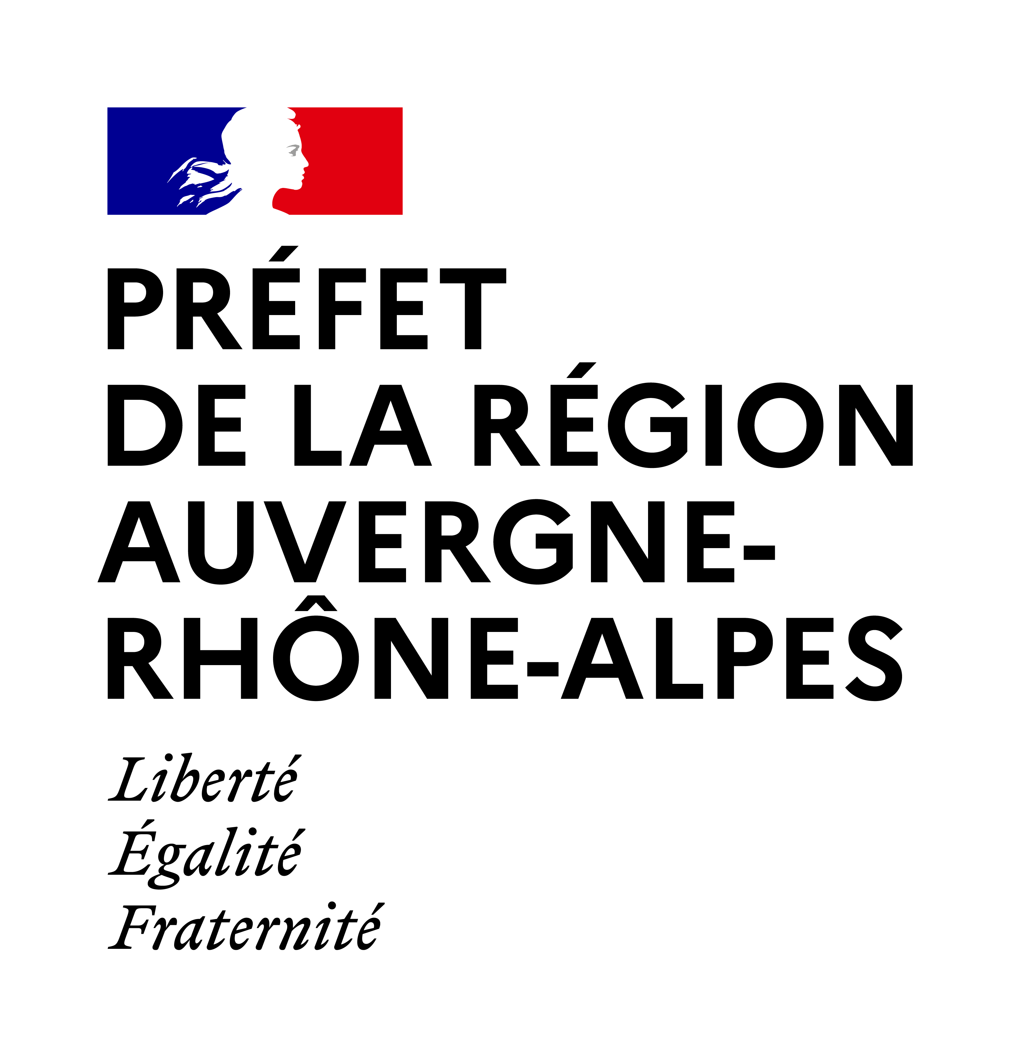 partenaires interstices DRAC Auvergne Rhone Alpes