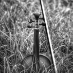 L'Orchestre des musiciens d'Europe - Répétitions publiques